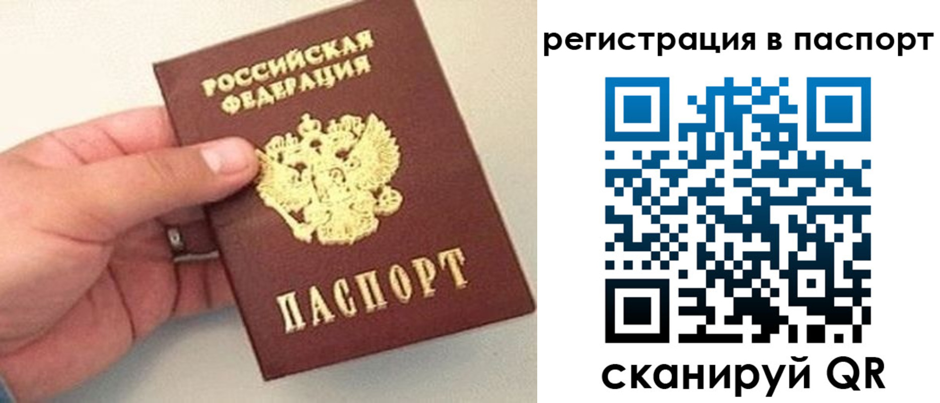 прописка законно в Пионерском